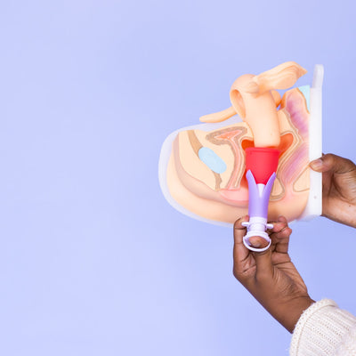 Pixie 2 Menstrual Cups and Applicator Bundle